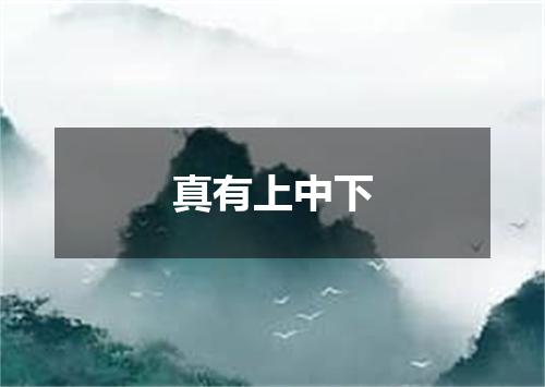真有上中下
