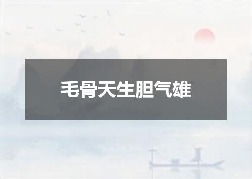 毛骨天生胆气雄