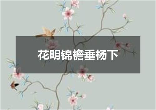 花明锦襜垂杨下