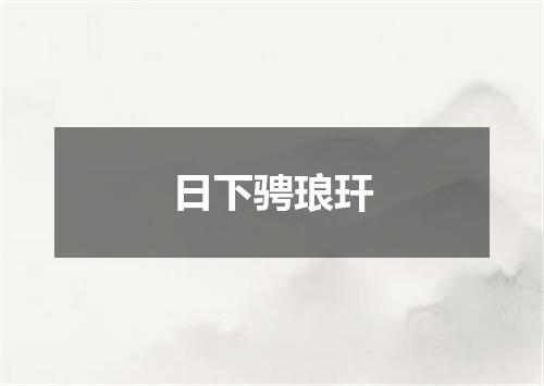 日下骋琅玕