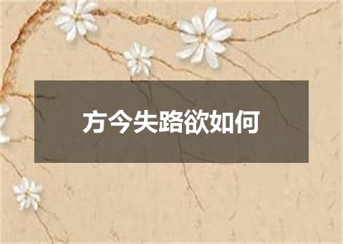 方今失路欲如何