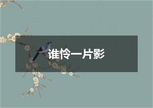 谁怜一片影