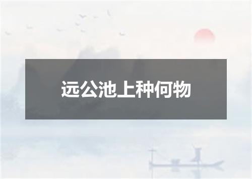 远公池上种何物