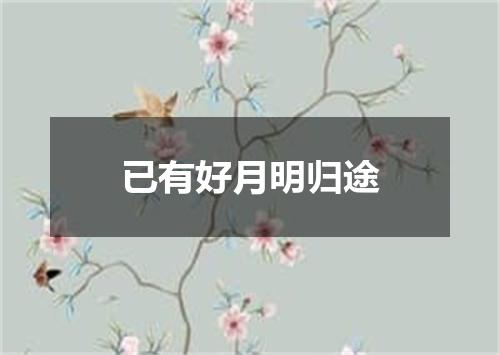 已有好月明归途