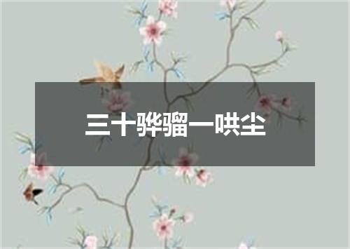 三十骅骝一哄尘