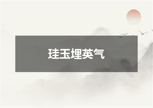 珪玉埋英气