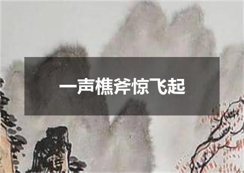 一声樵斧惊飞起