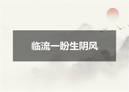 临流一盼生阴风