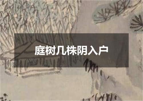 庭树几株阴入户