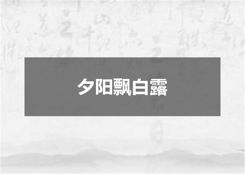 夕阳飘白露