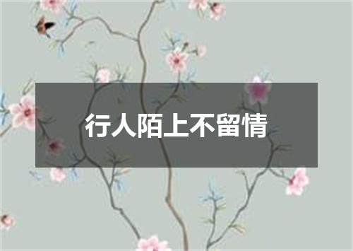 行人陌上不留情