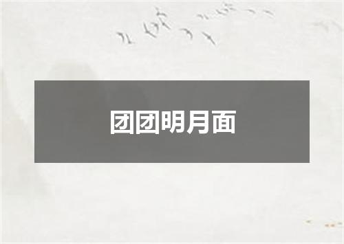 团团明月面