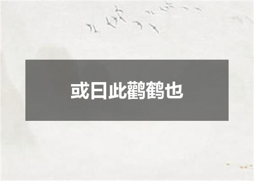或曰此鹳鹤也