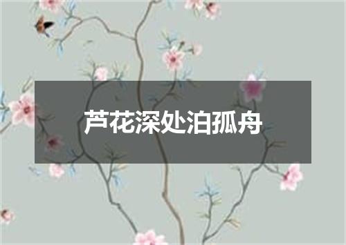 芦花深处泊孤舟
