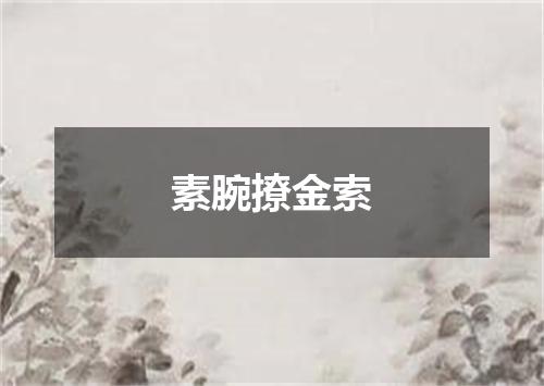 素腕撩金索