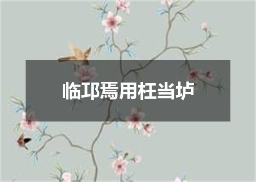 临邛焉用枉当垆