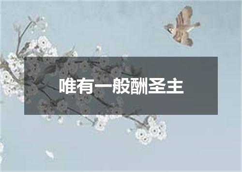 唯有一般酬圣主