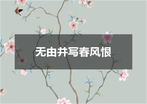 无由并写春风恨