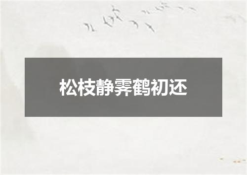 松枝静霁鹤初还