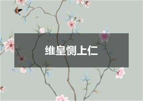 维皇恻上仁