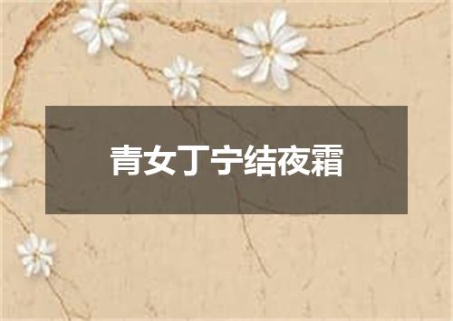 青女丁宁结夜霜