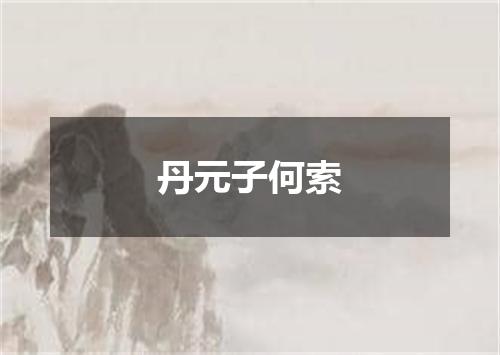 丹元子何索