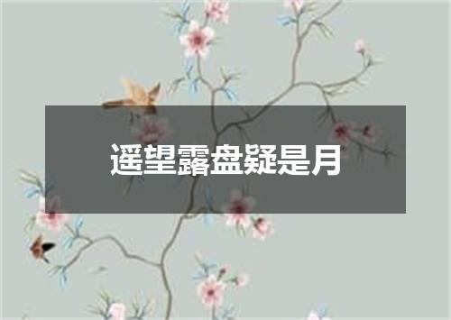 遥望露盘疑是月