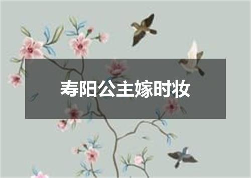 寿阳公主嫁时妆