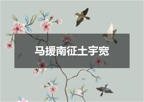 马援南征土宇宽