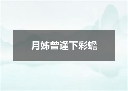 月姊曾逢下彩蟾
