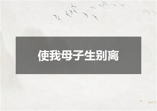使我母子生别离