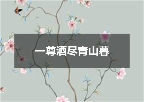 一尊酒尽青山暮