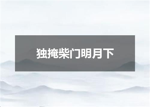 独掩柴门明月下