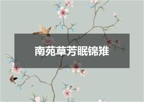 南苑草芳眠锦雉