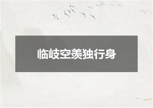 临岐空羡独行身