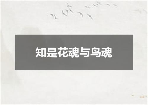知是花魂与鸟魂