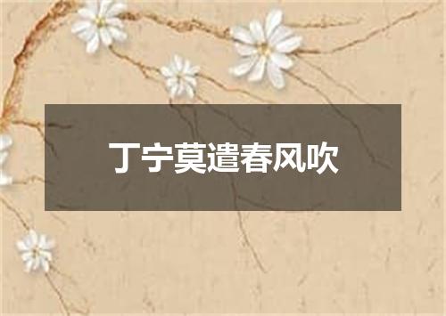 丁宁莫遣春风吹