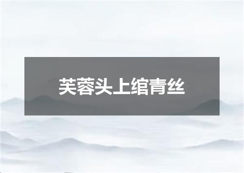 芙蓉头上绾青丝
