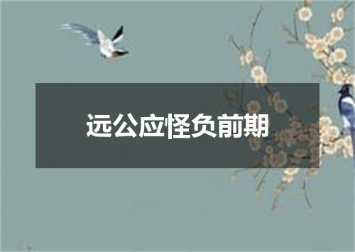 远公应怪负前期