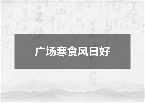 广场寒食风日好