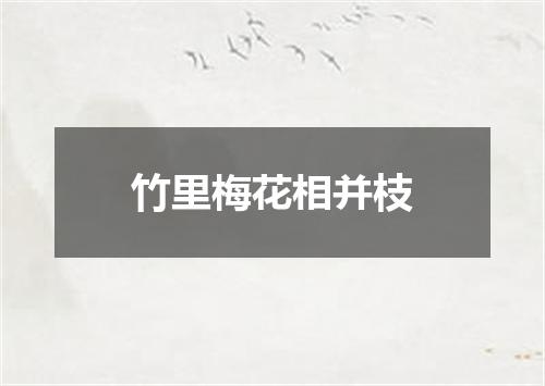 竹里梅花相并枝