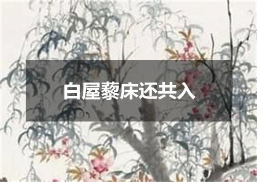 白屋藜床还共入