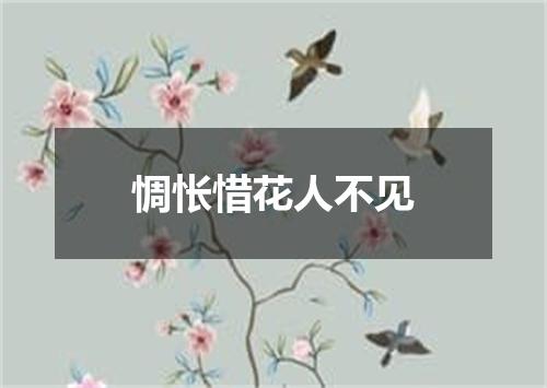 惆怅惜花人不见