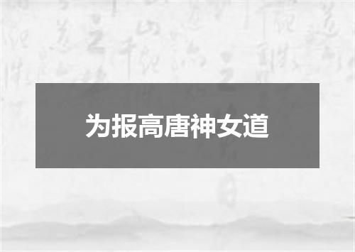 为报高唐神女道