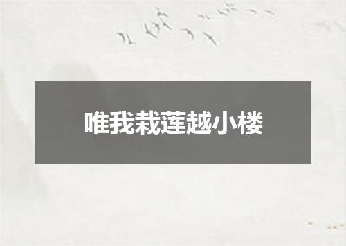 唯我栽莲越小楼