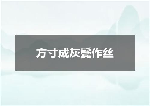 方寸成灰鬓作丝