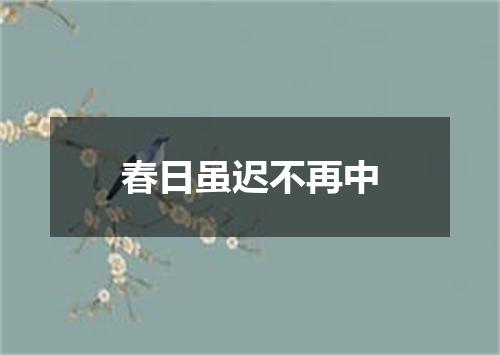 春日虽迟不再中