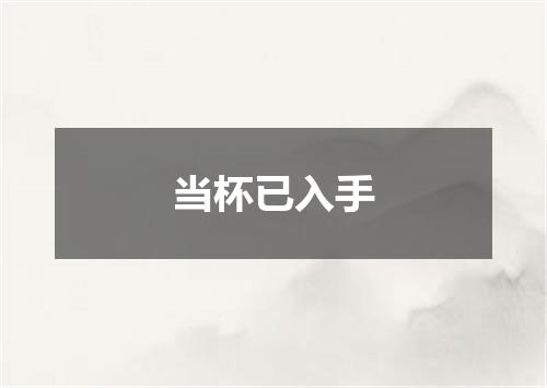 当杯已入手