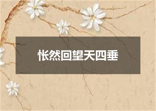 怅然回望天四垂