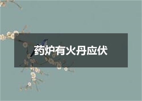 药炉有火丹应伏
